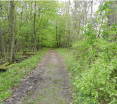 Crockery Creek Trail